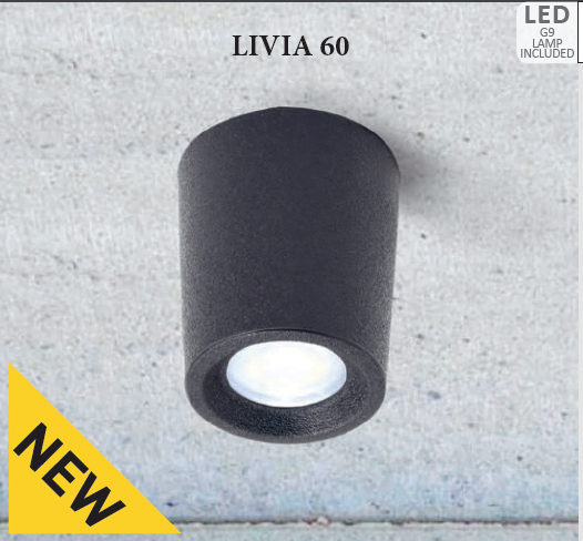 Ekran Resmi 2022-08-15 14.48.30